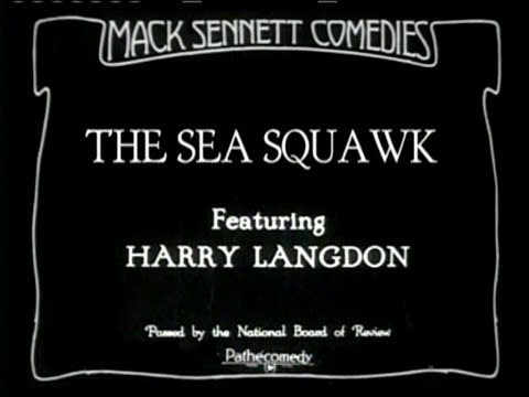 The Sea Squawk'