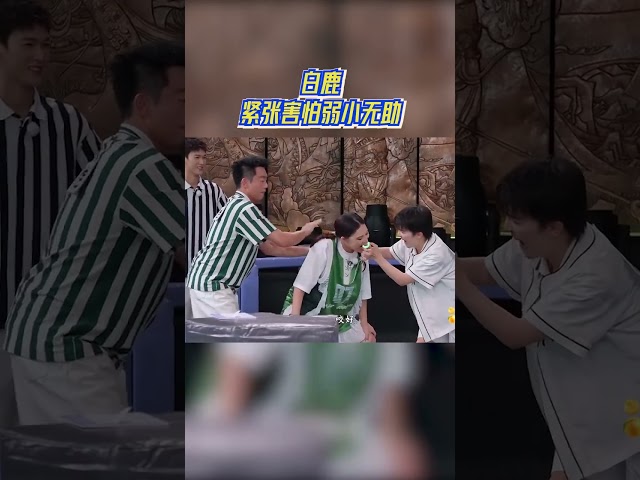 白鹿紧张害怕弱小无助 #奔跑吧13