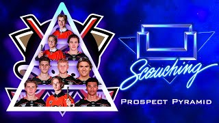 The Anaheim Ducks Prospect Pyramid