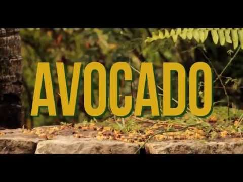 Jah9 - Avocado