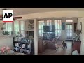 Home video captures pets reacting to California earthquake