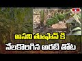 అసని తూఫాన్ కి నేలకొరిగిన అరటి తోట | Asani Cyclone Destroyed Banana Farmers | hmtv