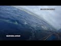 Entangled whale freed of gear off Island of Hawaii  - 00:45 min - News - Video
