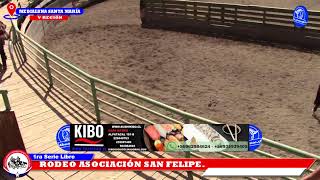 1RA SERIE LIBRE, RODEO CLUB CATEMU, ASOCIACIÓN SAN FELIPE, MEDIALUNA SANTA MARÍA