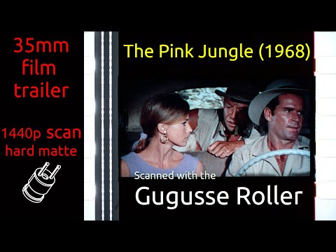 The Pink Jungle'