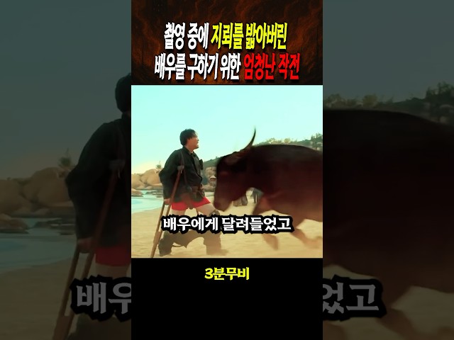 촬영 중 지뢰를 밟아버린 배우를 구하기 위한 작전