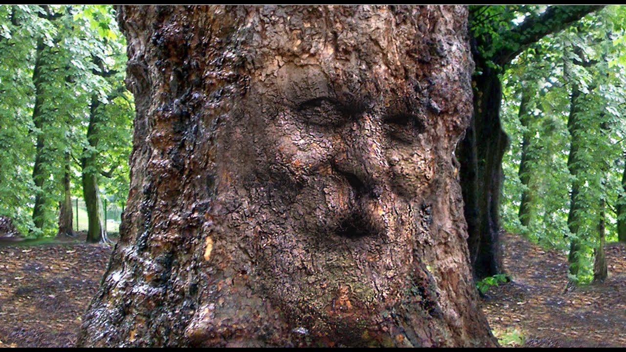 How to Camouflage a Face onto Gnarly, TREE Bark