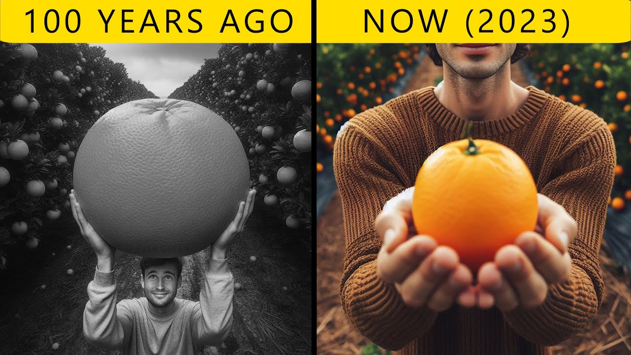 Incredible Transformation of Fruits and Vegetables Over 100 Years