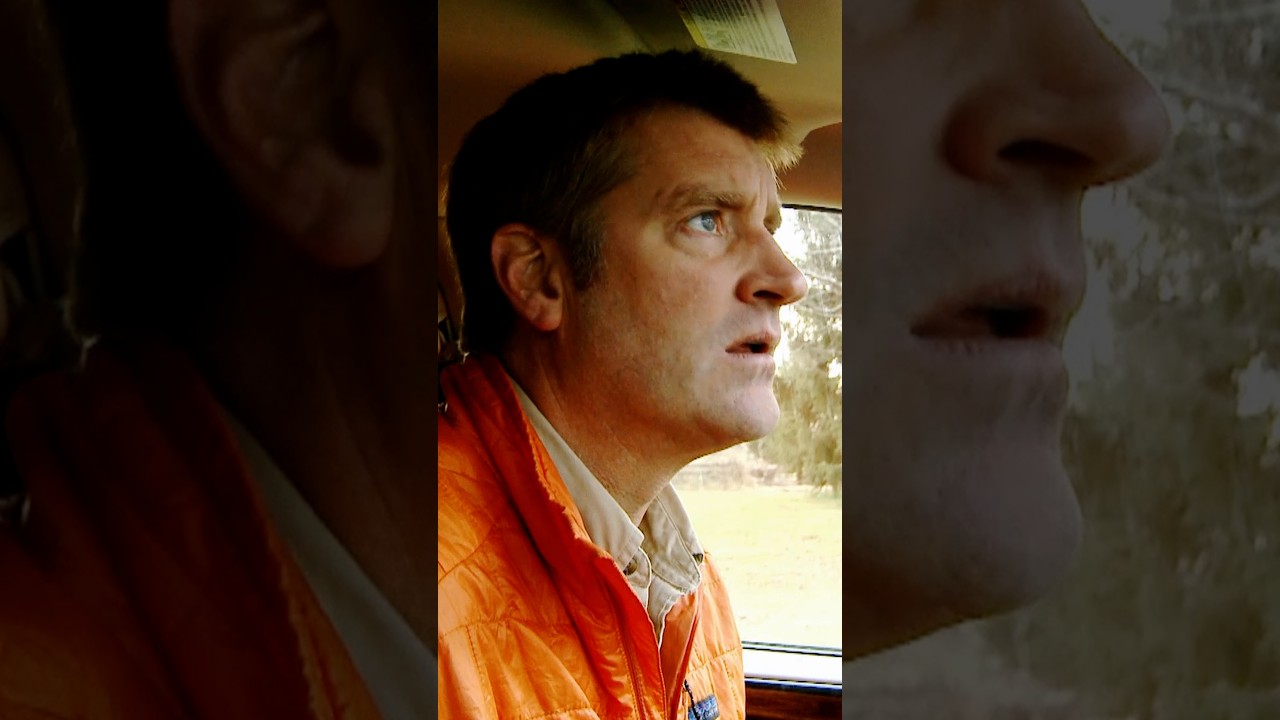 "This House Needs a Wrecking Ball..." | Treehouse Masters | Animal Planet