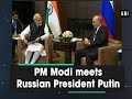 PM Modi meets Russian President Putin