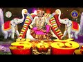 శ్రీ పద్మావతి అమ్మవారి కార్తిక బ్రహ్మోత్సవాలు- పల్లకి ఉత్సవం | నవంబర్ 14వ ఉదయం 8 గంటలకు | SVBC TTD  - 01:05 min - News - Video