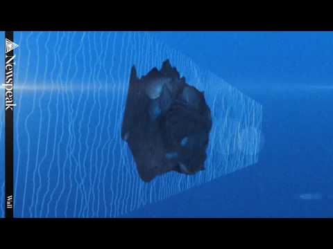 Newspeak - Wall (Official Lyric Video)