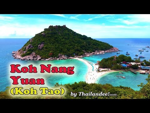 l'île de koh nang yuan en face de koh tao