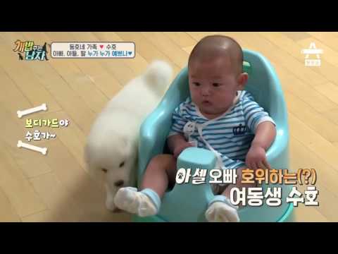 개밥주는남자_본베베점보의자 협찬