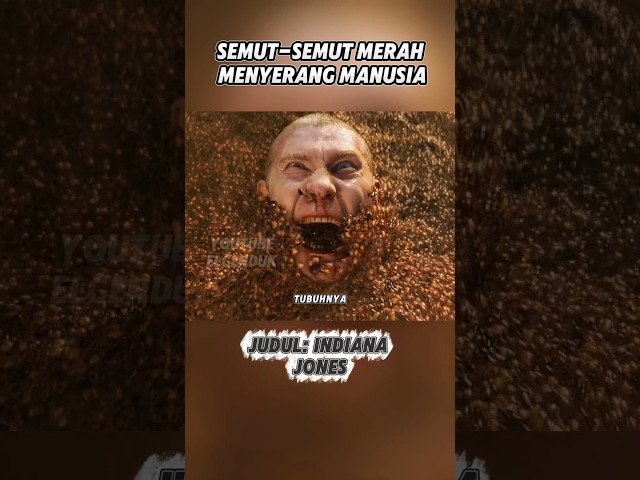 SEMUT MERAH MEMBAWA PETAKA #alurceritafilmpendek #rangkumfilm