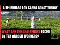 Lok Sabha Elections 2024: Tea Garden Workers And Toto Tribals Play Decisive Role In Alipudaurs