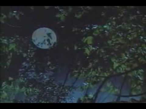 Bloodmoon'