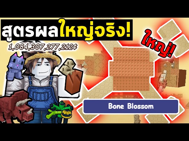 สูตร Bone Blossomใหญ่ ง่ายๆ! | ปลูกผักกับลูกชาย EP.30 Grow a Garden Roblox