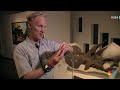 Dinosaur fossil found under Denver museum parking lot  - 01:55 min - News - Video