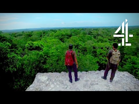 Walking the Americas'