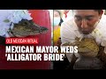 Viral: Mexican Mayor marries alligator