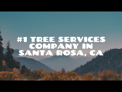 #1 Tree Service Company in Santa Rosa, CA? | (707) 360-0416