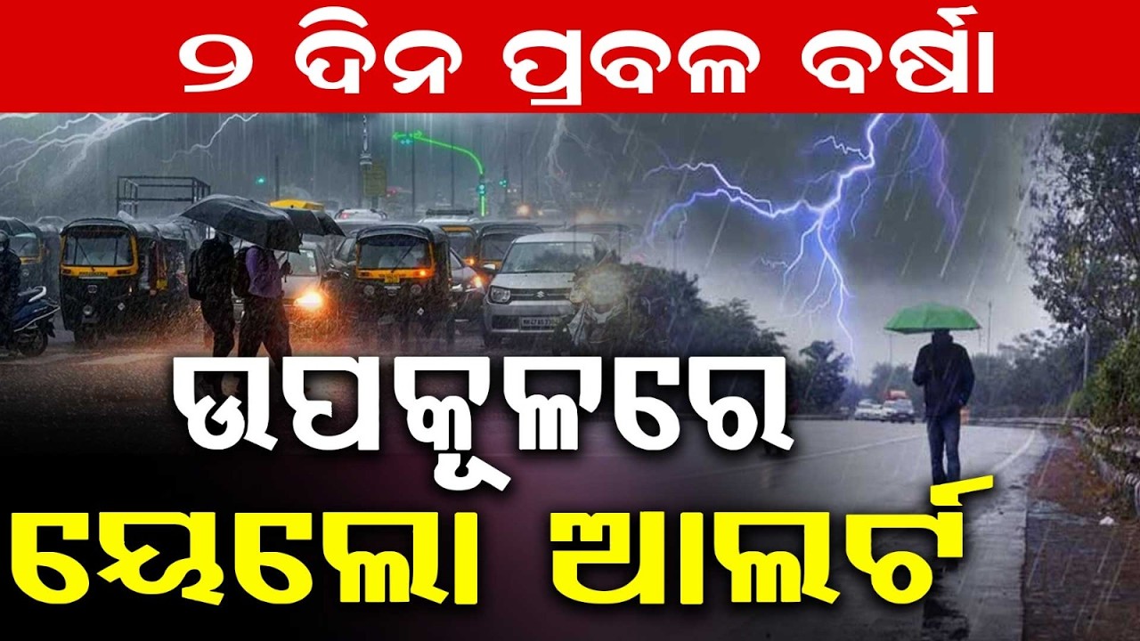 ୨ ଦିନ ପ୍ରବଳ ବର୍ଷା | Odisha Weather Update: Yellow Alert For Coastal & North Districts | Argus News