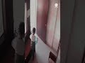 Quick-thinking boy calmly exits as leopard enters building - ABC News  - 00:50 min - News - Video