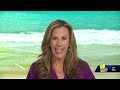 Starting the summer with Ocean City Mayor Rick Meehan  - 05:02 min - News - Video