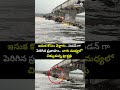 ఇసుక కోసం వెళ్లారు..సడన్ గా పెరిగిన ప్రవాహం..వాగు మధ్యలో చిక్కుకున్న ట్రాక్టర్లు | Maneru Vagu Viral  - 00:10 min - News - Video