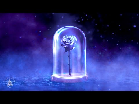 Overcome Heartbreak & Deception | Heal from Emotional Pain | Manifest Love & Positivity 639 Hz Music