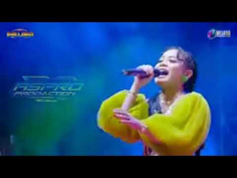 New Pallapa Terbaru 2023 Full Album Live Expo Nganjuk