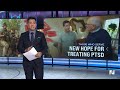 MDMA could help veterans with PTSD, researchers say  - 02:31 min - News - Video