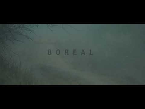Boreal'