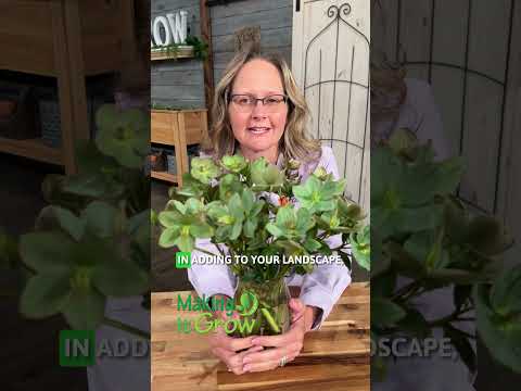 screenshot of youtube video titled Practical tips you can use in your own yard and garden!
