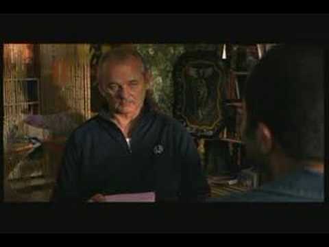 Broken Flowers'
