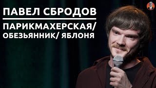 Павел Сбродов — парикмахерская/ обезьянник/ яблоня [СК#25]