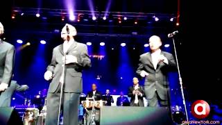 Click to View : Concierto LA SALSA VIVE, en el Madison Square Garden, NY