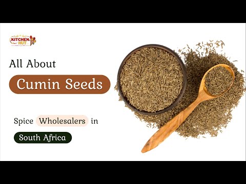 All About Cumin Seeds | Spice Wholesalers in South Africa | Kitchenhutt Spices