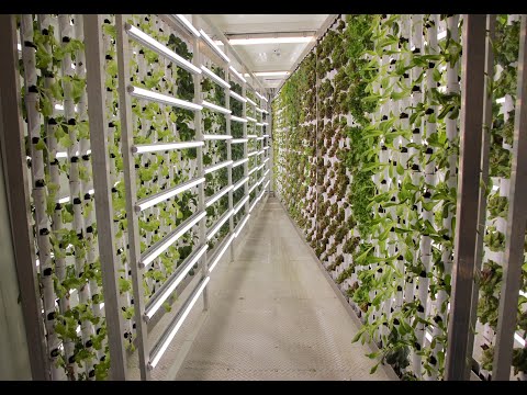 0:07 / 1:10 FarmBox Foods - Who We Are and What We Do