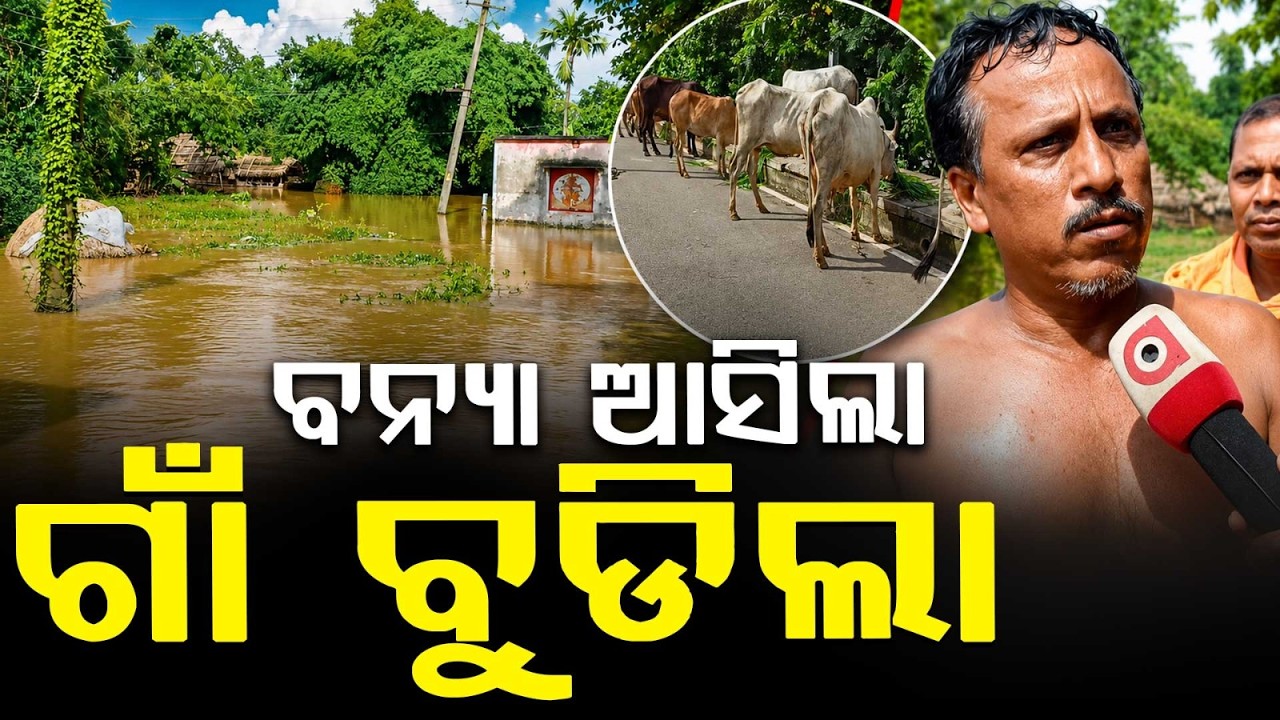 Jajpur Flood Alert: Kharasrota River Inundates Korei Block, Crops Submerged | Argus News