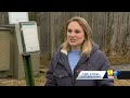 Micro-chip stations coming to help lost pets find way home(WBAL) - 02:14 min - News - Video