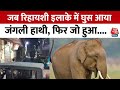 Haridwar News : जब हरिपुर कलां में अचानक घुस आया हाथी, मच गया हड़कंप | AajTak | Haridwar Viral Video