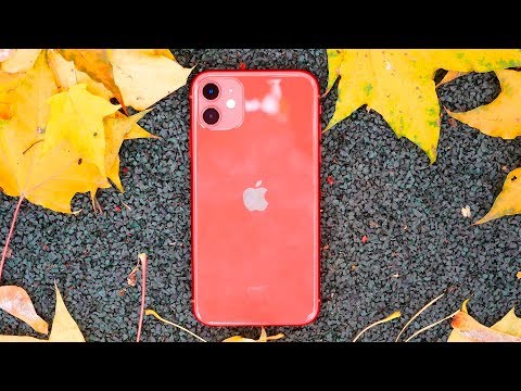 Сколько лет apple будет поддерживать iphone 11