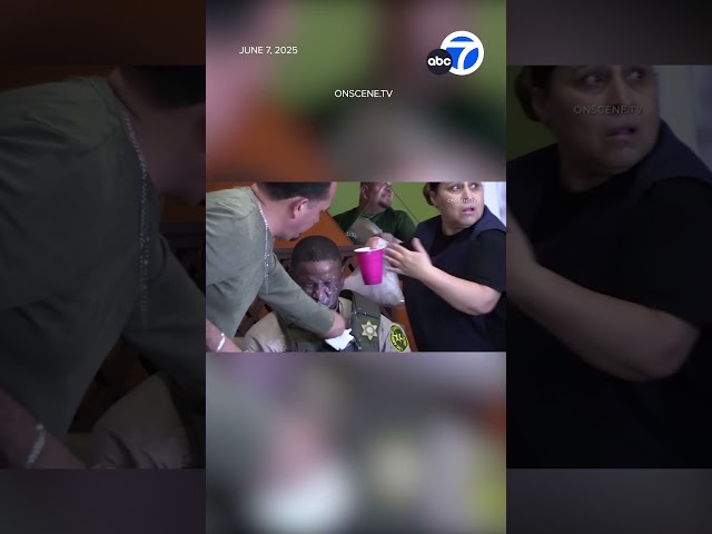 Restaurant workers help deputies during ICE raids
