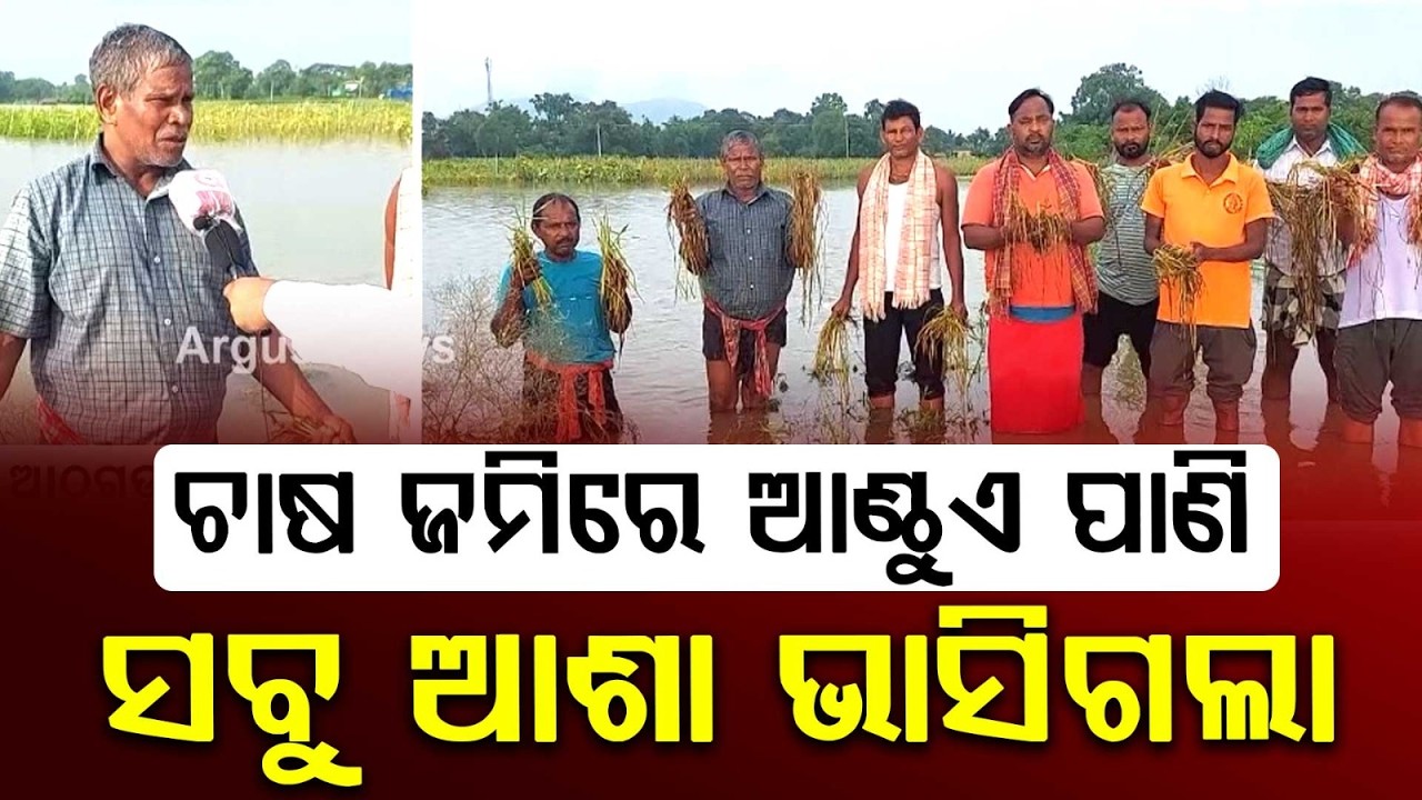 Tigiria Flood Fury: Acres Of Crops Submerged In Cuttack District | Argus News