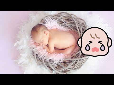 12 hours of white noise for infants, fall asleep, fast calming, study, relax, zen, focus, increase c