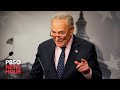 WATCH LIVE: Senate Majority Leader Schumer gives remarks after AI Insight Forum