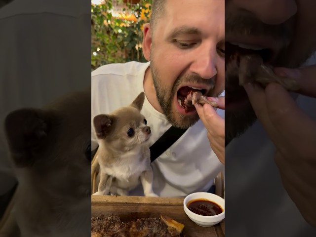 This poor puppy doesn’t deserve this 😢☺️😊 #funny #funnyvideo #puppy #cute #dog
