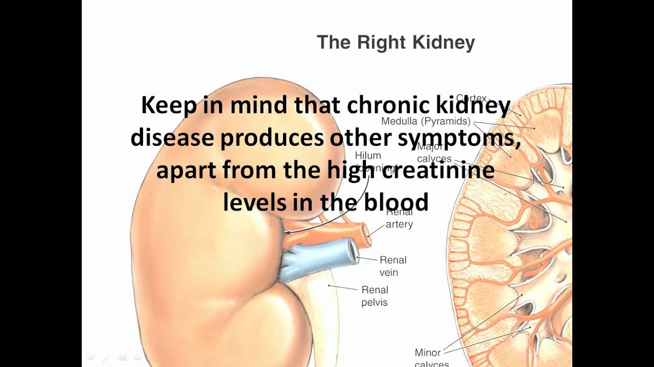 my creatinine level is high